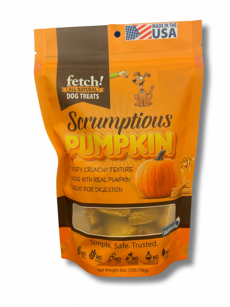 fetch scrumption pumpkin