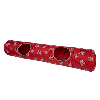 ohio state buckeyes cat tunnel