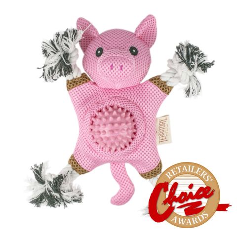 territory pig 2 in 1 tug chew dog toy