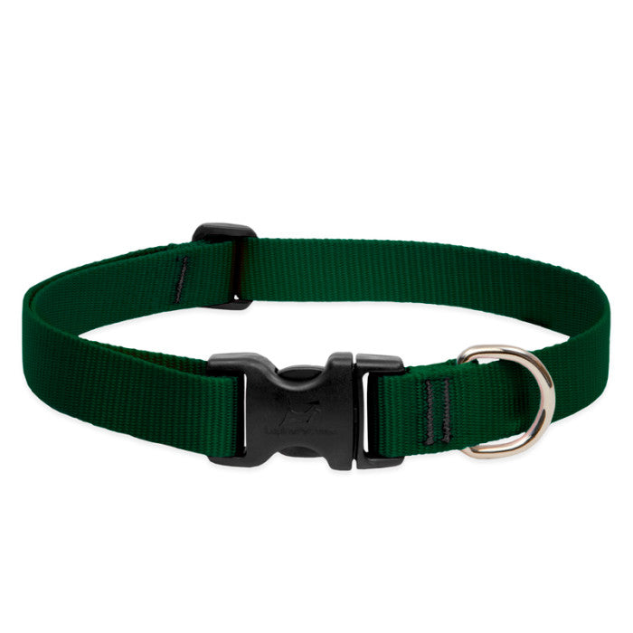 Lupine Basics 3/4"  15"-25" Dog Collar