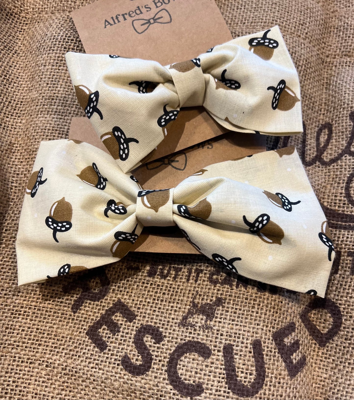 Alfred's Bows "Acorns" Large Bow