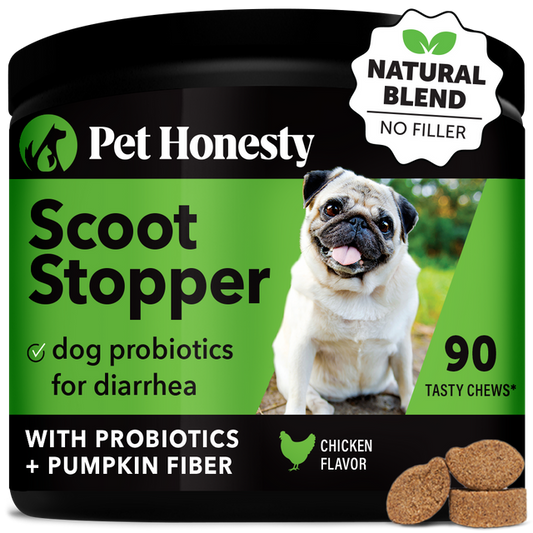 Pet Honesty Dog Scoot Stopper Anal Gland Support Soft Chews Chicken