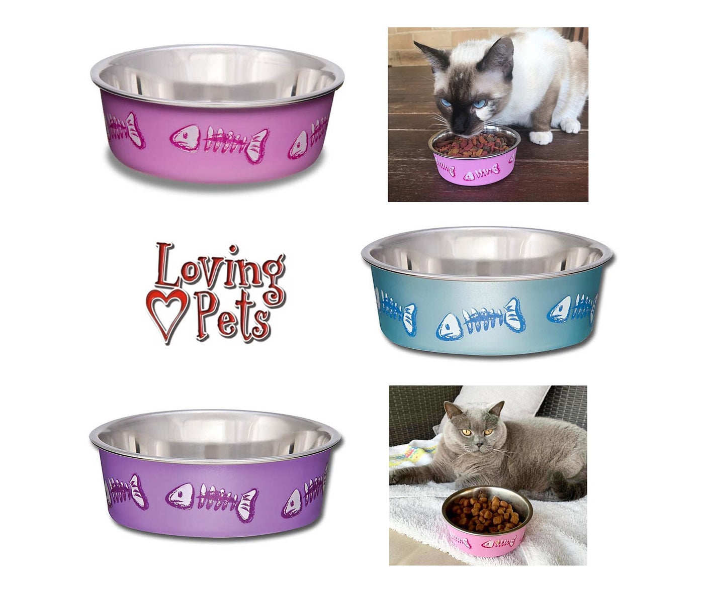 Loving pet cat small bowl