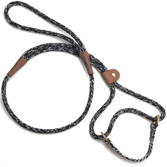 Mendota Dog Walkers (Martingale-style)