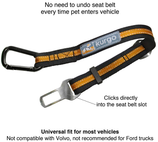 Direct to Seatbelt Tether