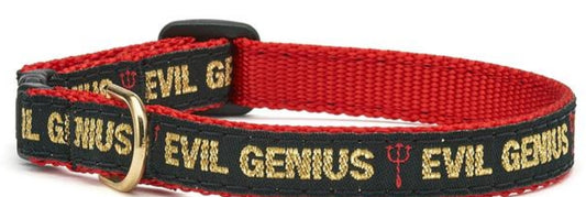 Up Country Evil Genius Cat Collar