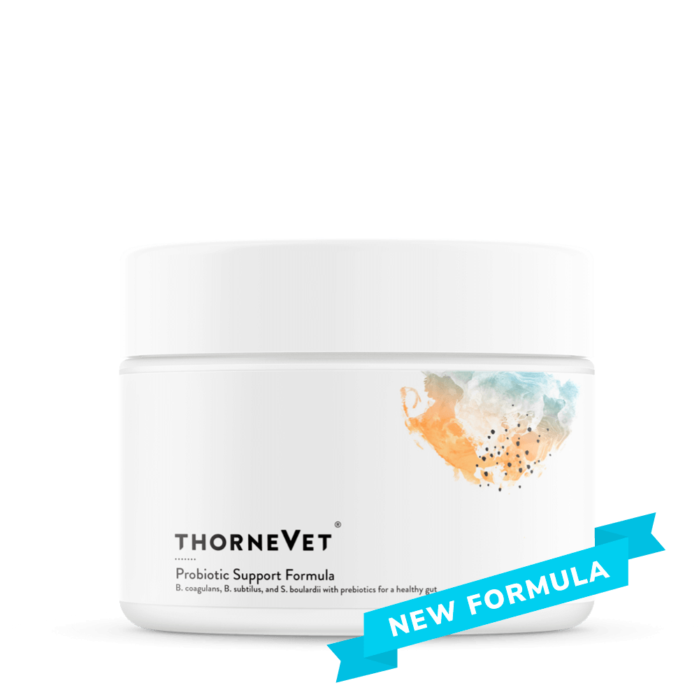 thorne vet probiotic