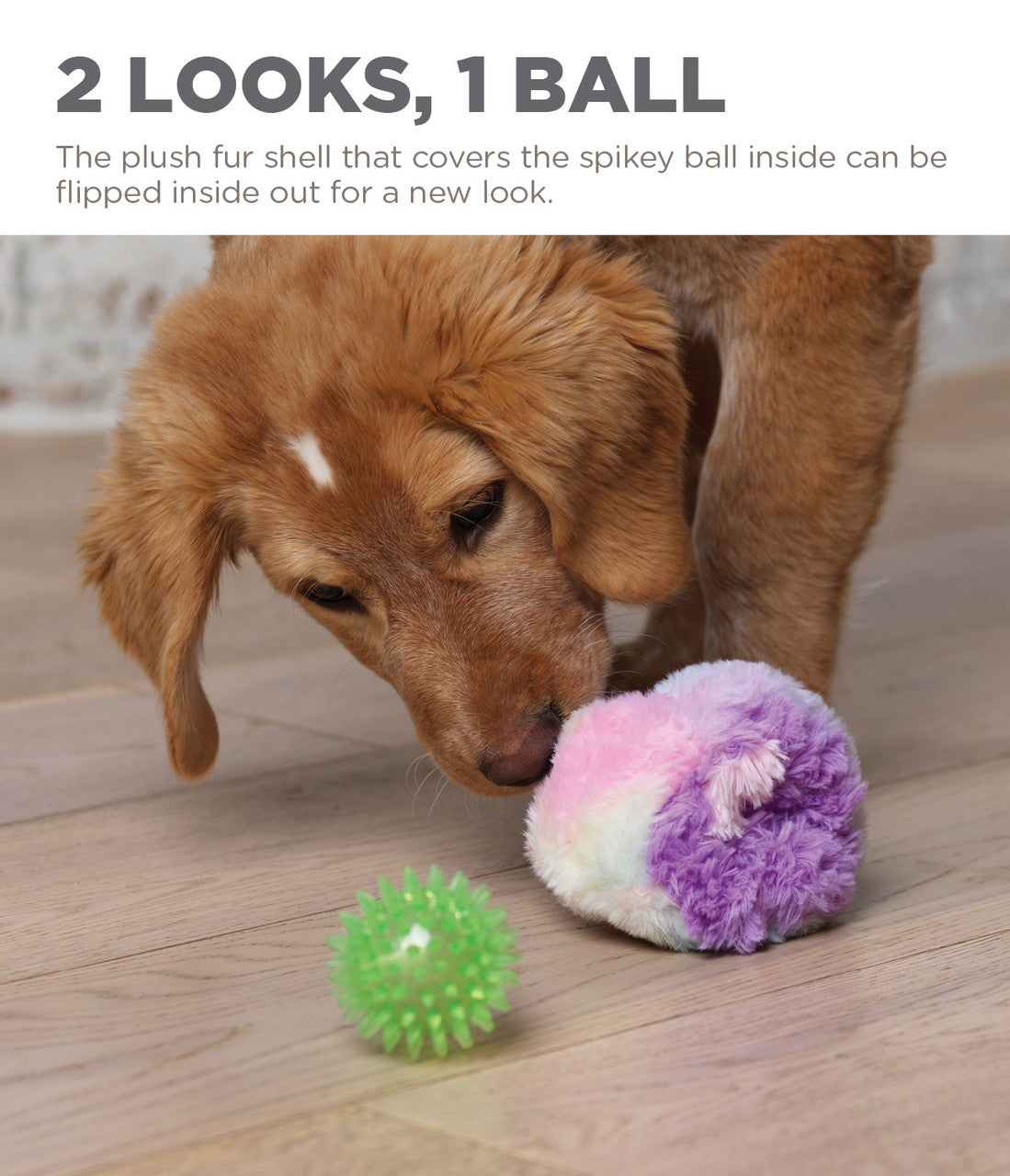 Reversi-Balls Spike Ball Dog Toy  PURPLE MONKEY