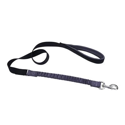 Bungee dog leash