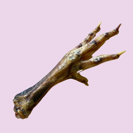 chicken foot