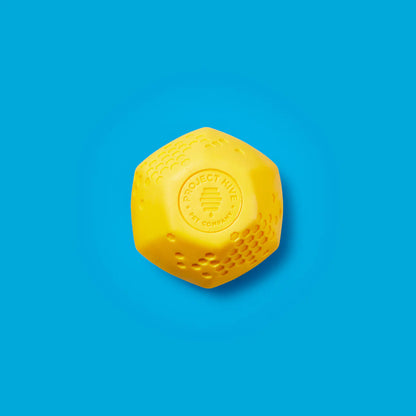 Project Hive  Dog Hive Ball