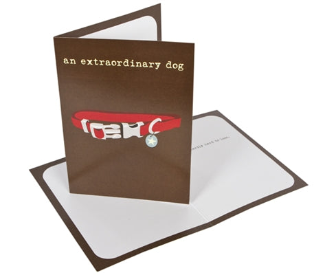 Dog is Good "Extraordinary Dog" GREETING CARD
