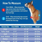 PetSafe Easy Walk Royal Blue & Navy Dog Harness