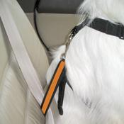 KURGO DOG SEAT BELT TETHER CARABINAR