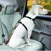 KURGO DOG SEAT BELT TETHER BLACK/ORANGE