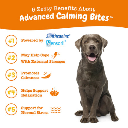Zesty Paws Advanced Calming Bites