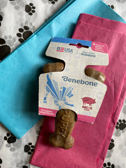 Benebone Wishbone Bacon Flavored for Puppy
