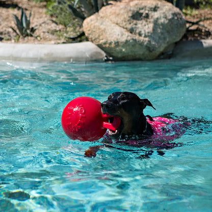 JOLLY PETS TUG N TOSS BALL 8"