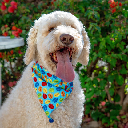 Huxley & Kent Blue Birthday Bandana