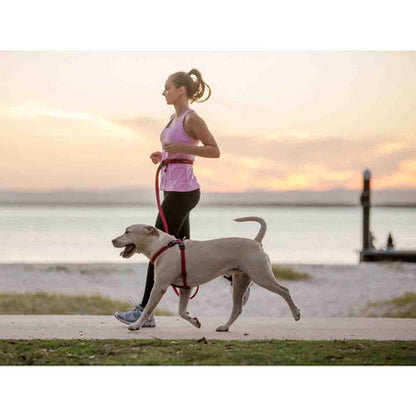 EzyDog Road Runner Leash