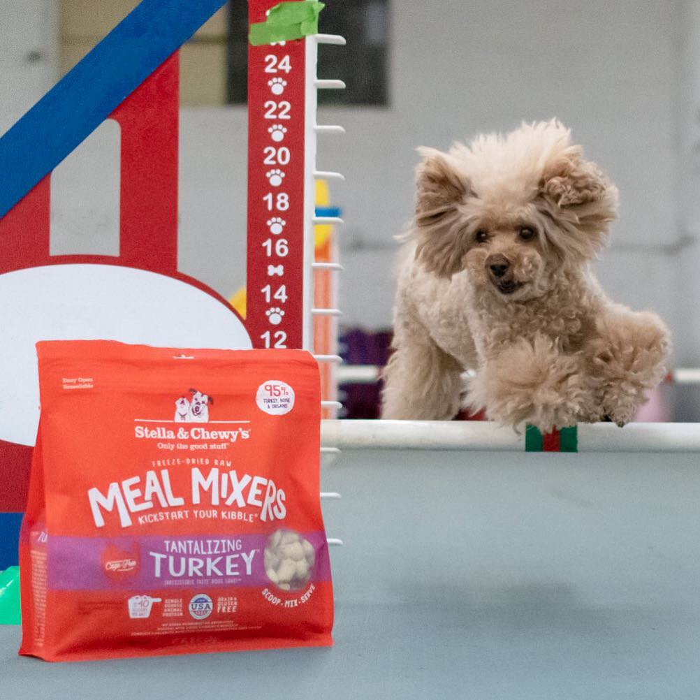 Stella And Chewy's Tantalizing Turkey Meal Mixers